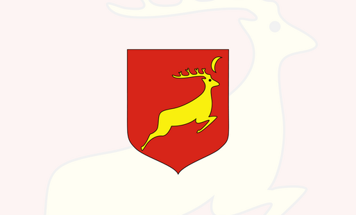 Brak zdjęcia.